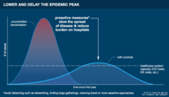 Epidemic infographic by Esther Kim & Carl T. Bergstrom